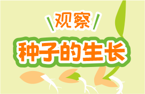 观察！神奇的生长！